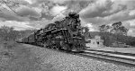 NKP 765 in B/W looks awesome to me.